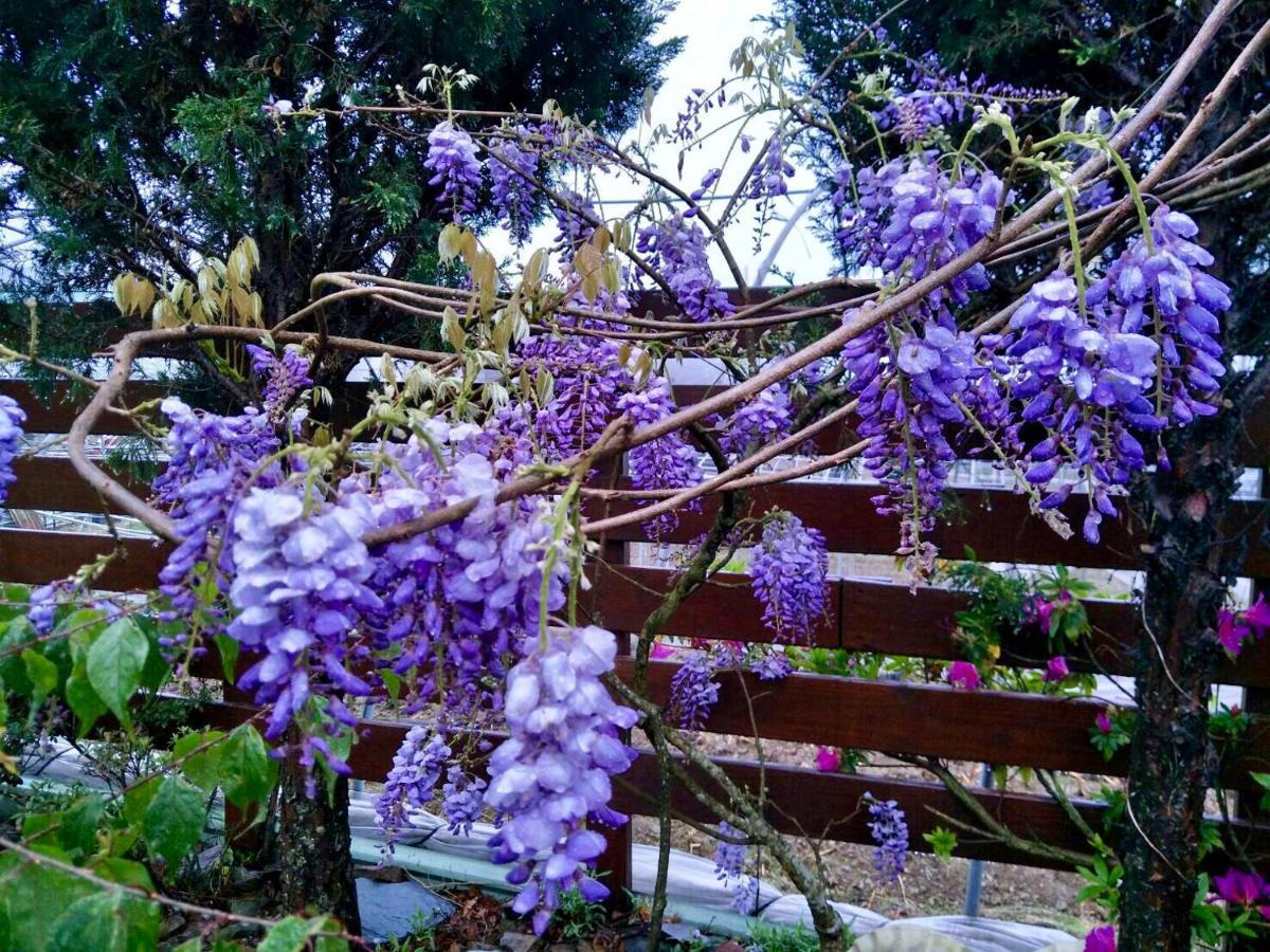 Hua Mu Xing Jing B&B Renai Εξωτερικό φωτογραφία